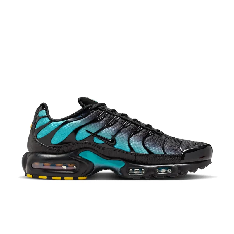 Nike Air Max Plus Black Dusty Cactus (DM0032-016)