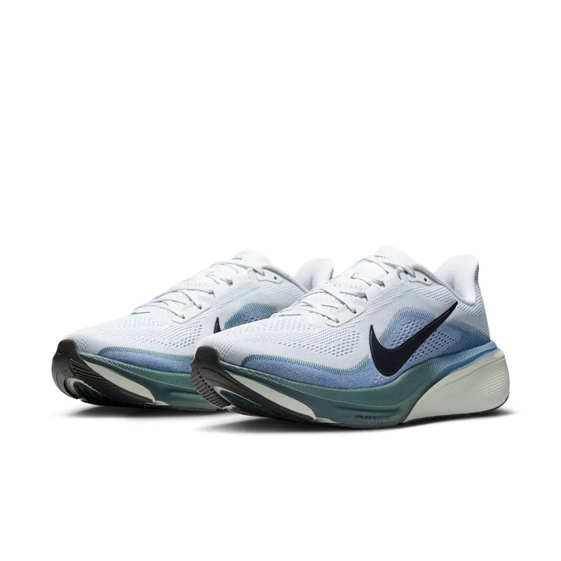 Nike Pegasus Pure Platinum/Work Blue/Mineral Slate/Dark Obsidian (IB1873-005)