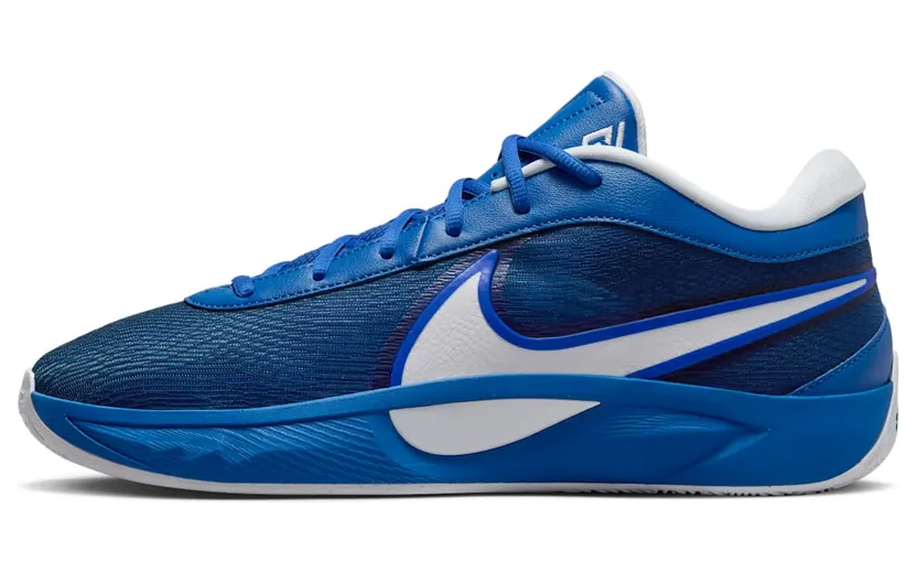 nike-zoom FV1292-401