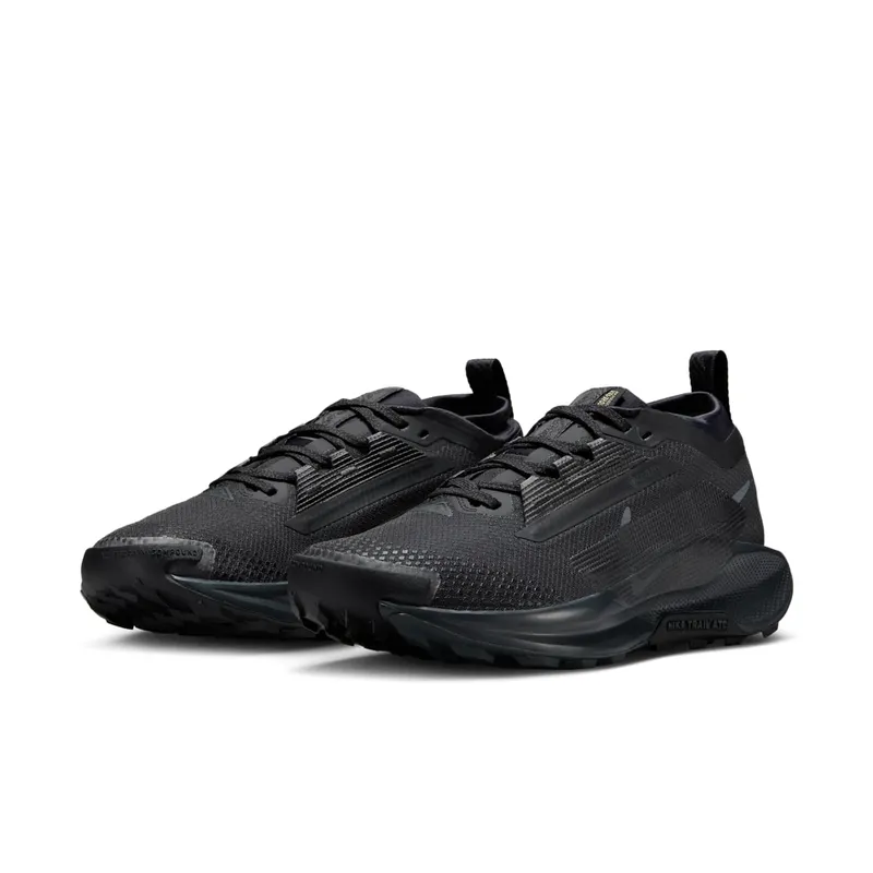 Nike Pegasus Trail Black (FQ0912-002)