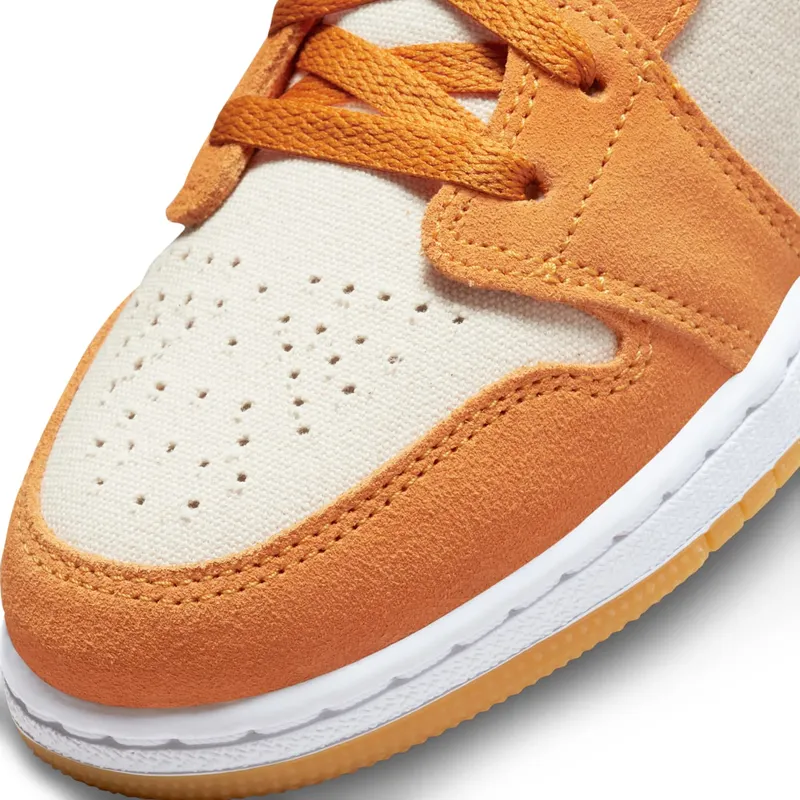 air-jordan-1 DJ0342-102