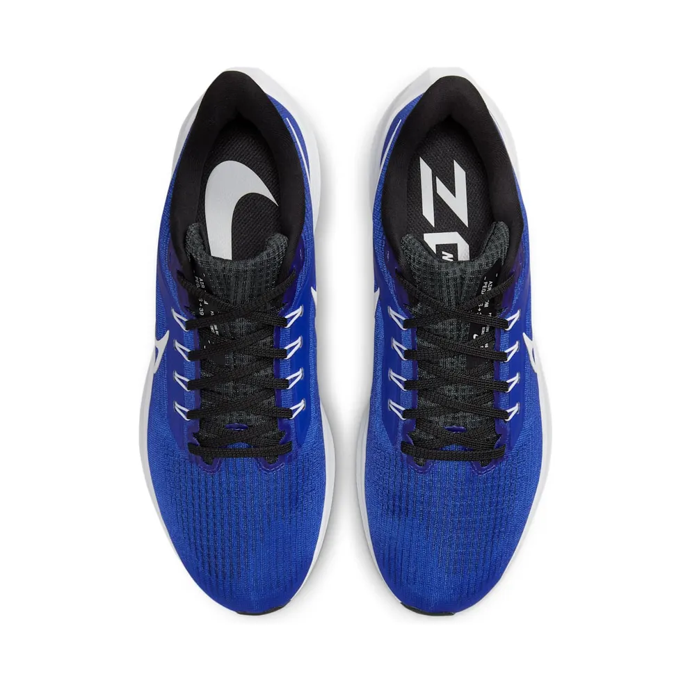 Nike Air Zoom Pegasus 39 Road Running Blue (DH4071-400)