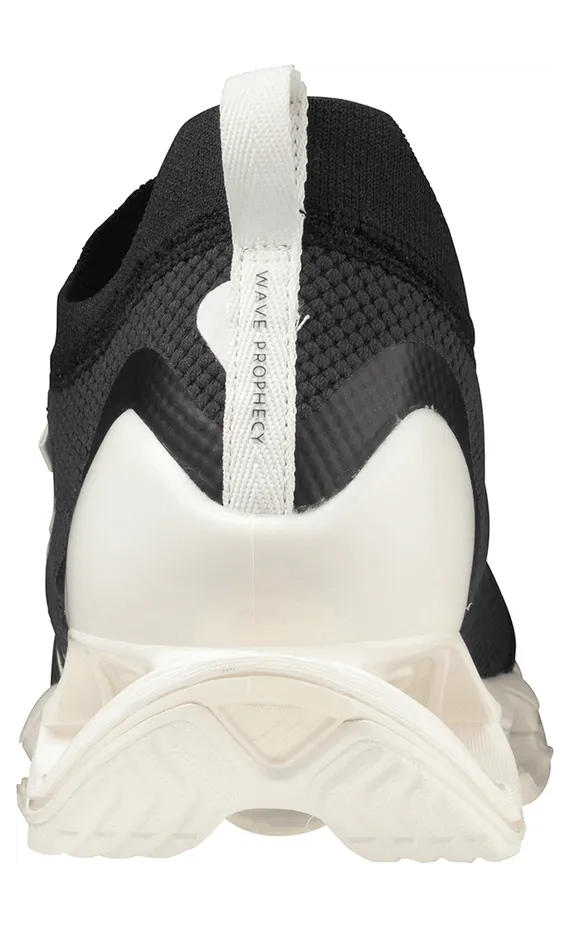 mizuno-wave-prophecy D1GA220202