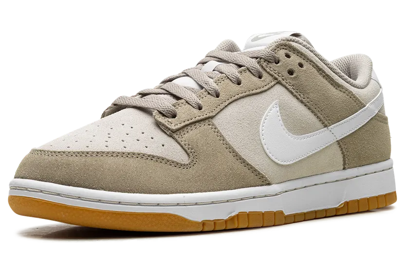 nike-dunk HQ1931-100