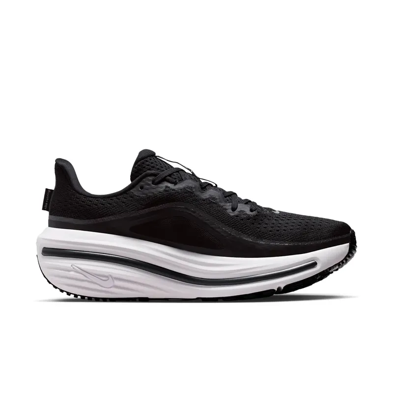 Nike Winflo 12 Black (HV9273-002)