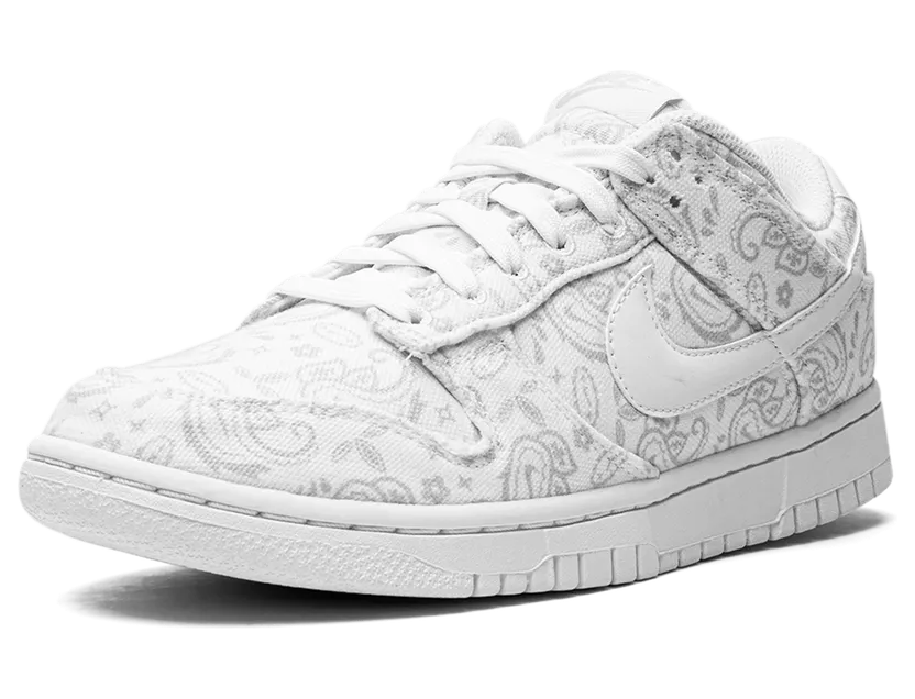 nike-dunk DJ9955-100
