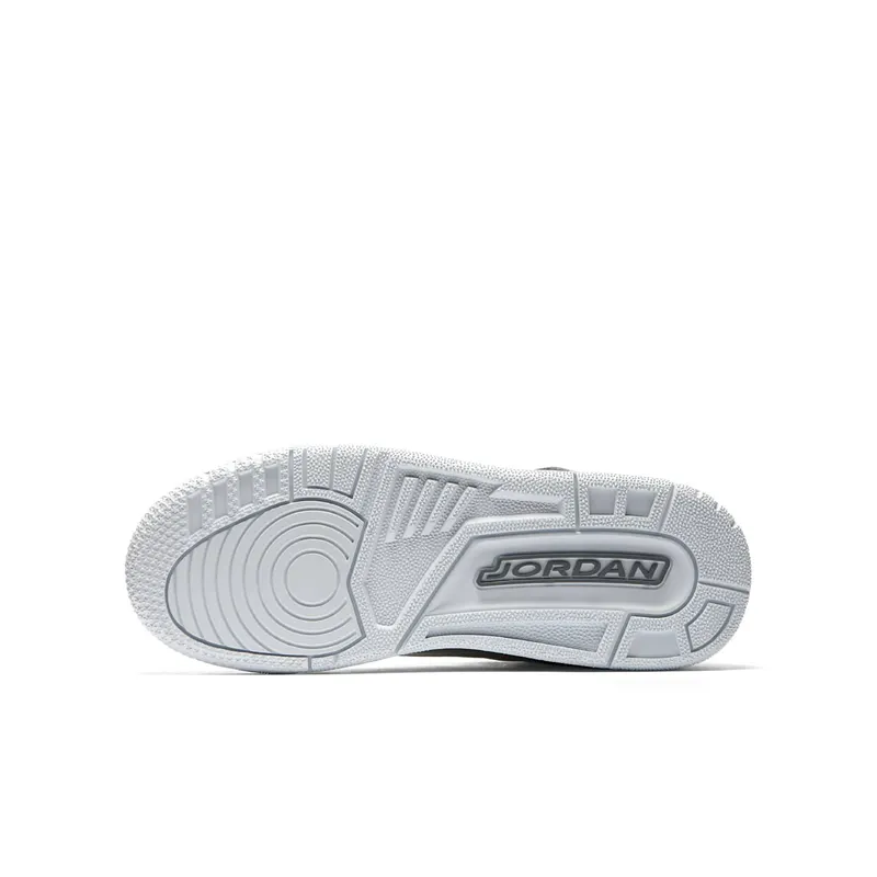 Jordan 3 Retro Premium Heiress Metallic Silver (GS) Metallic Silver/Cool Grey-White (AA1243-020)