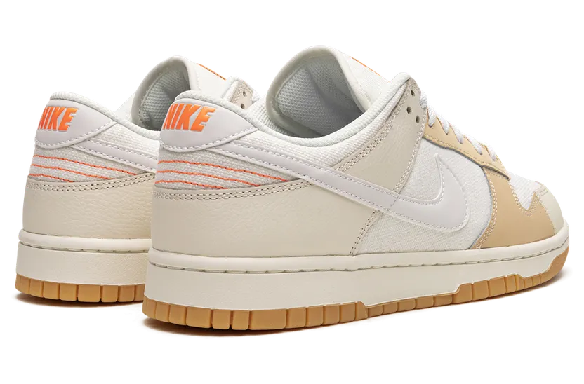 nike-dunk FJ5475-100