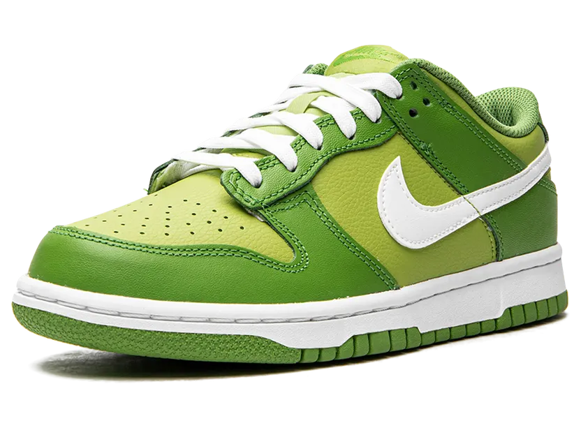 nike-dunk DH9765-301