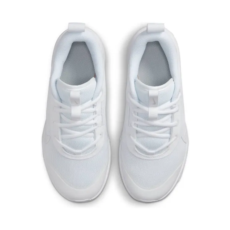 nike-omni-multi-court DM9027-100