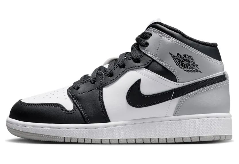 Air Jordan 1 Mid DQ8423-101