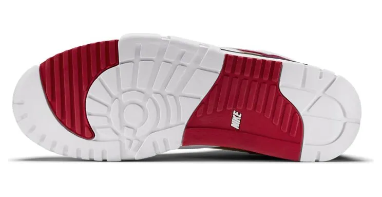 air-jordan-trainer-1 607081-101