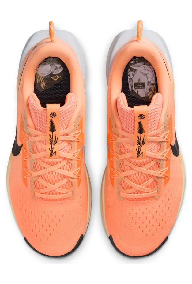nike-air-pegasus DV3865-800