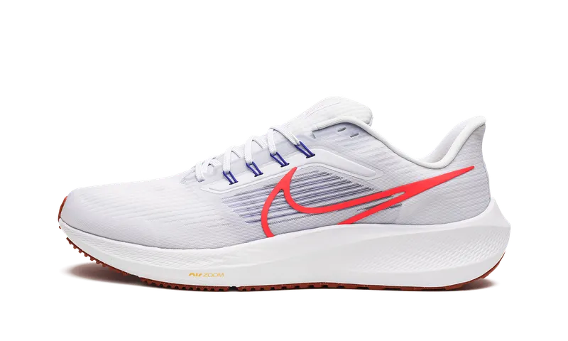 Nike Pegasus 39 “Grey” (DH4071-007)