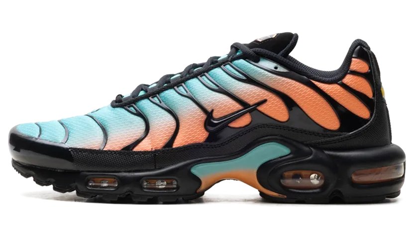 Nike Air Max Plus “South Beach” (DM0032-022)