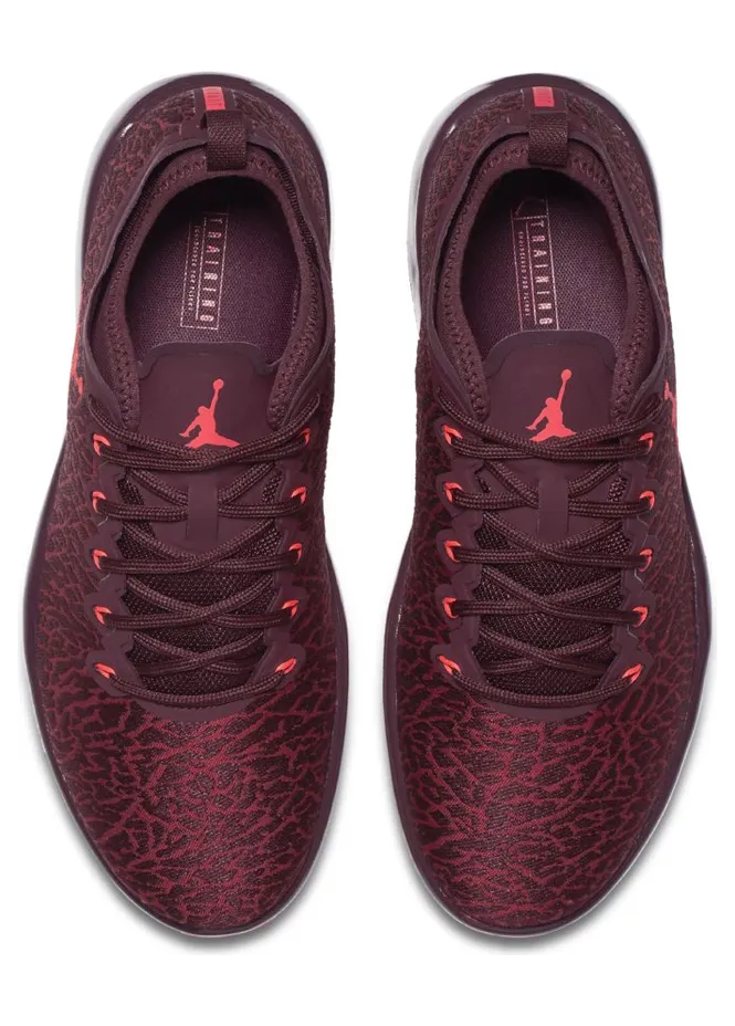 jordan-trainer-1-low 845403-600