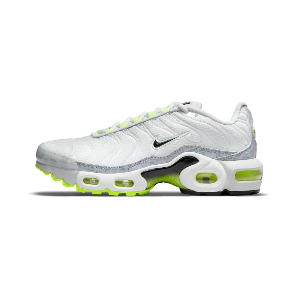 Nike Air Max Plus Grau (CD0609-015)