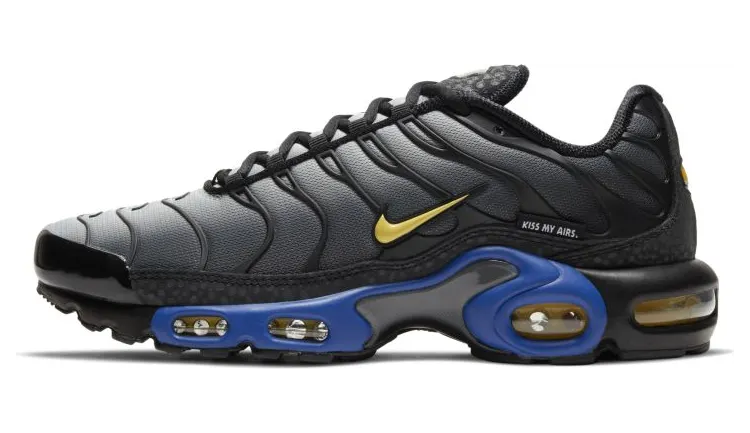 Nike Air Max Plus Zwart (DJ4956-001)