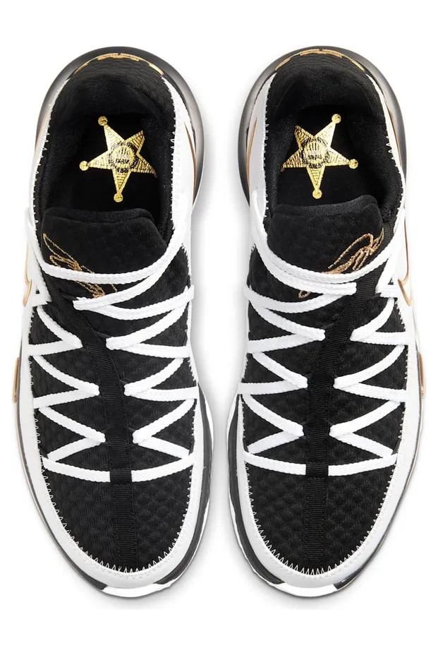 nike-lebron CD5006-101
