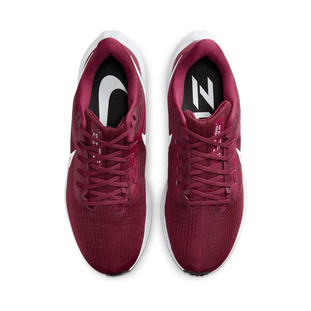 Nike Air Zoom Pegasus 39 TB Team Maroon (DM0164-601)