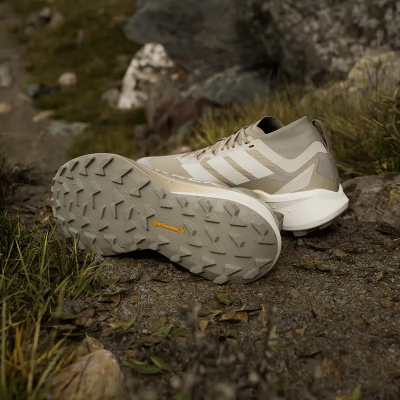 adidas Terrex Agravic Gore-Tex Trail Blanch Cargo Alumina Putty Beige (JR1507)