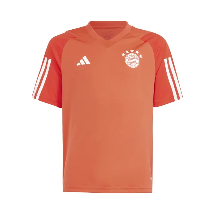 Nike Ausgefranste V5 Rnr “Grey” (IQ0613)