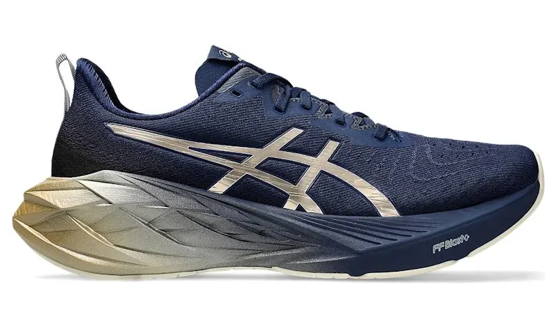 asics-novablast 1011B945-400