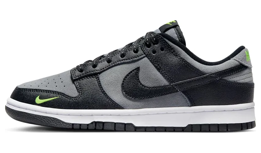 Nike Dunk Low FQ2205-001