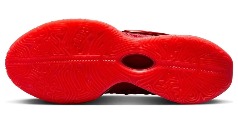 nike-lebron HF5951-600