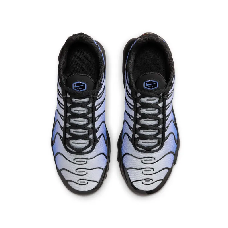Nike Air Max Plus Black (CD0609-045)