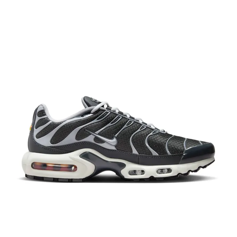 Nike Air Max Plus Greyscale Cool Grey (DZ2655-001)