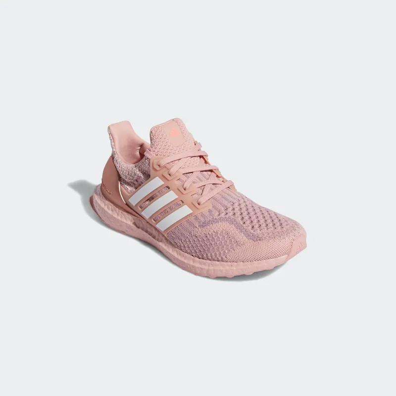 adidas Ultraboost 5.0 DNA Wonder Mauve / Cloud White / Acid Red (GY7953)
