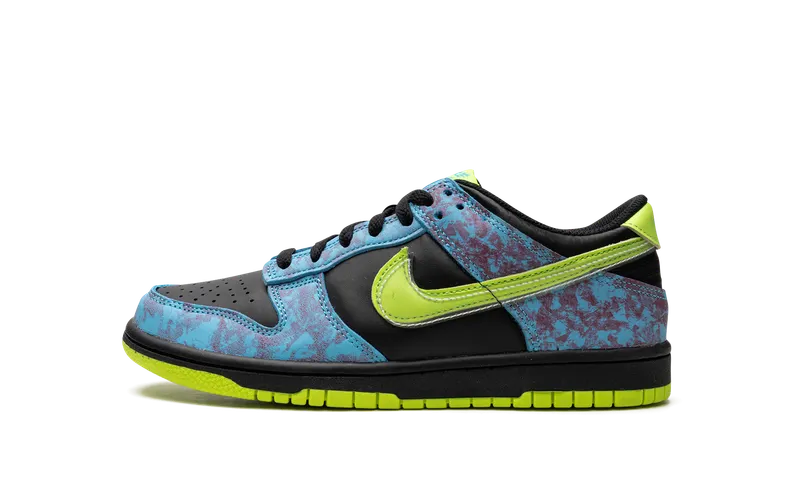 Nike Dunk Low SE 2 “Acid Wash” (DV1694-900)