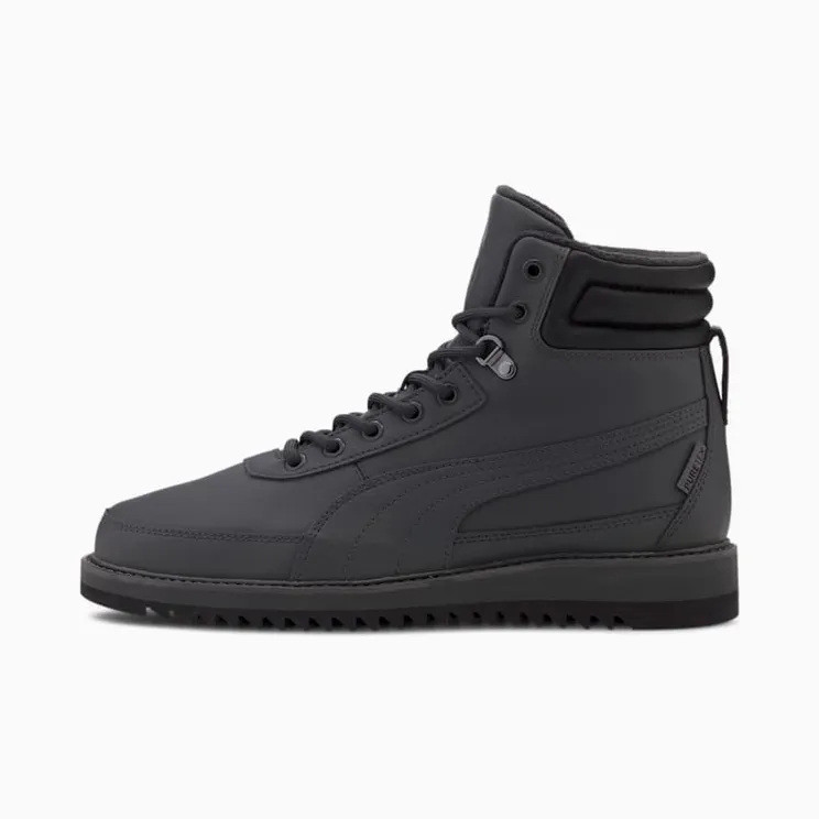 puma-desierto 373026-02