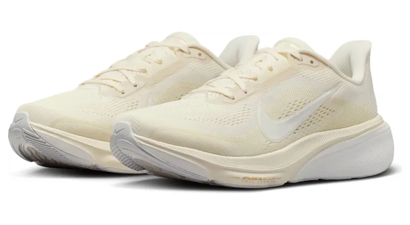 nike-air-pegasus IB1881-106