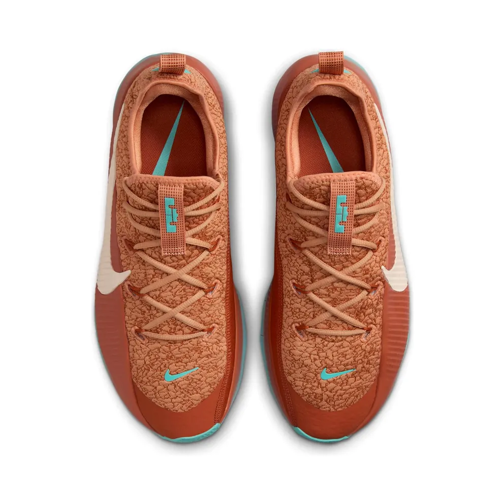 Nike LeBron TR 1 Better With Age (FJ6151-200)