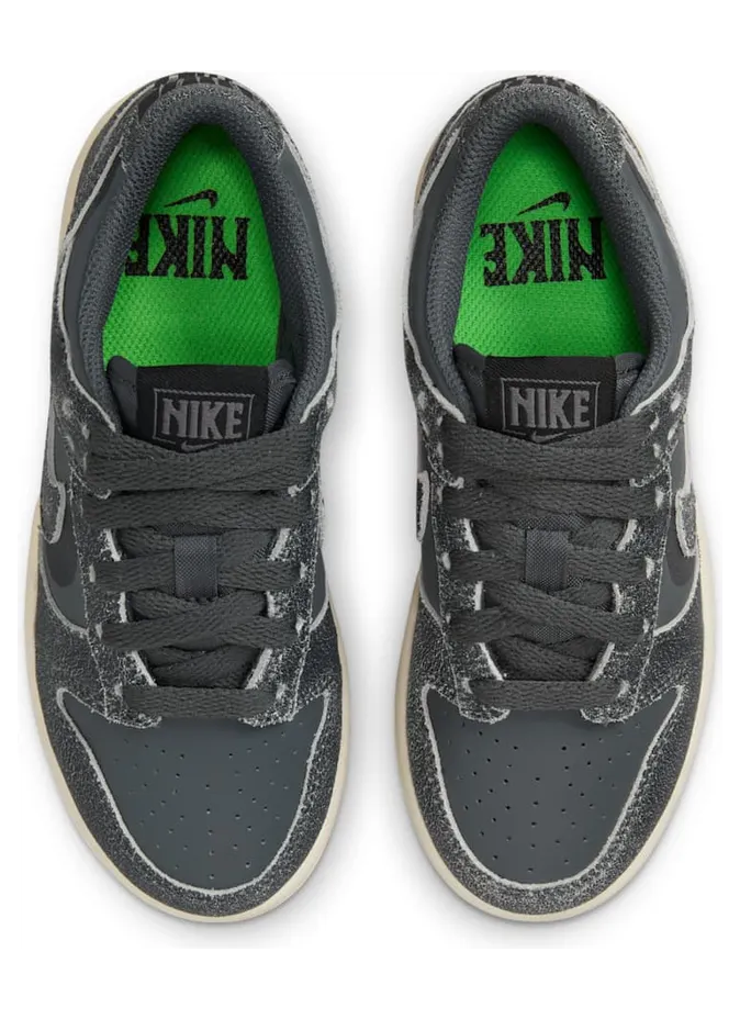 nike-dunk DQ6216-001