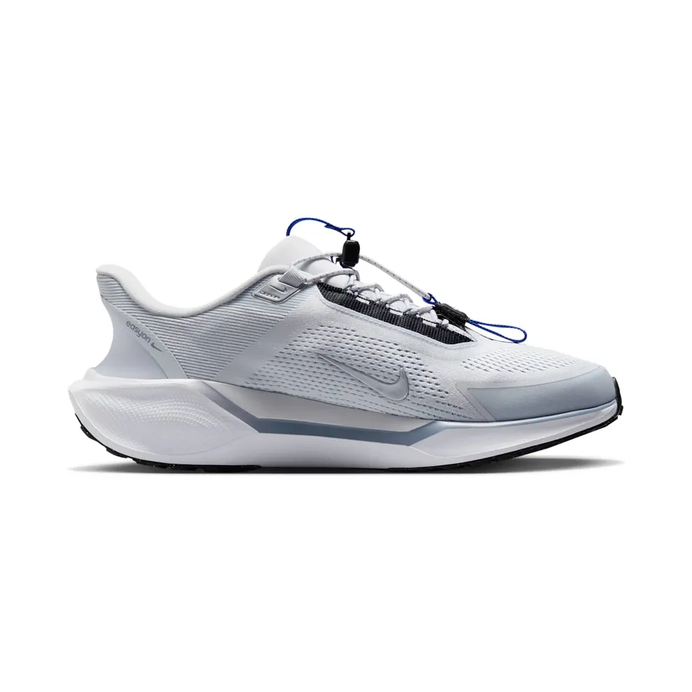 Nike Air Zoom Pegasus 41 EasyOn Pure Platinum Ashen Slate Racer Blue Metallic Silver (FQ7837-003)