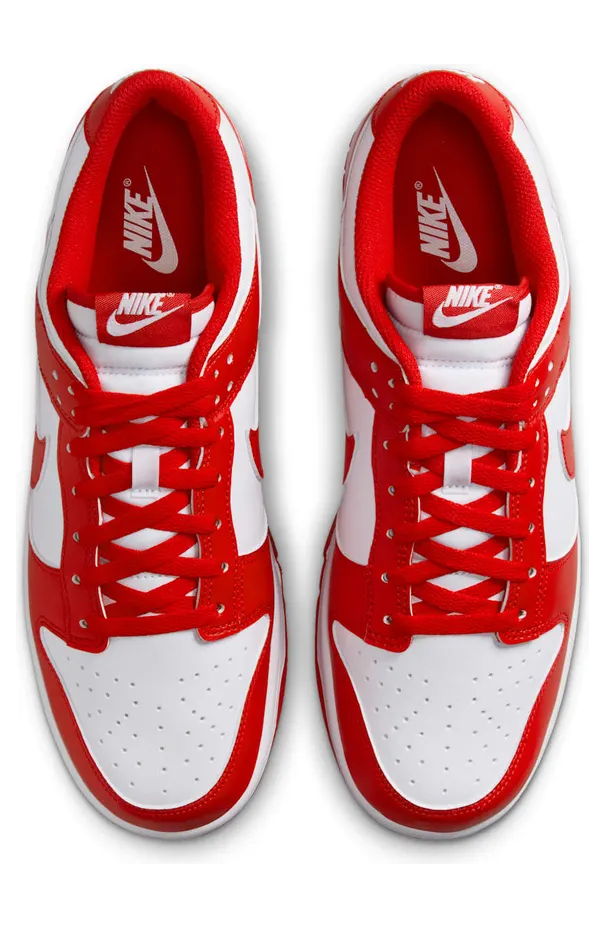nike-dunk HF5441-104