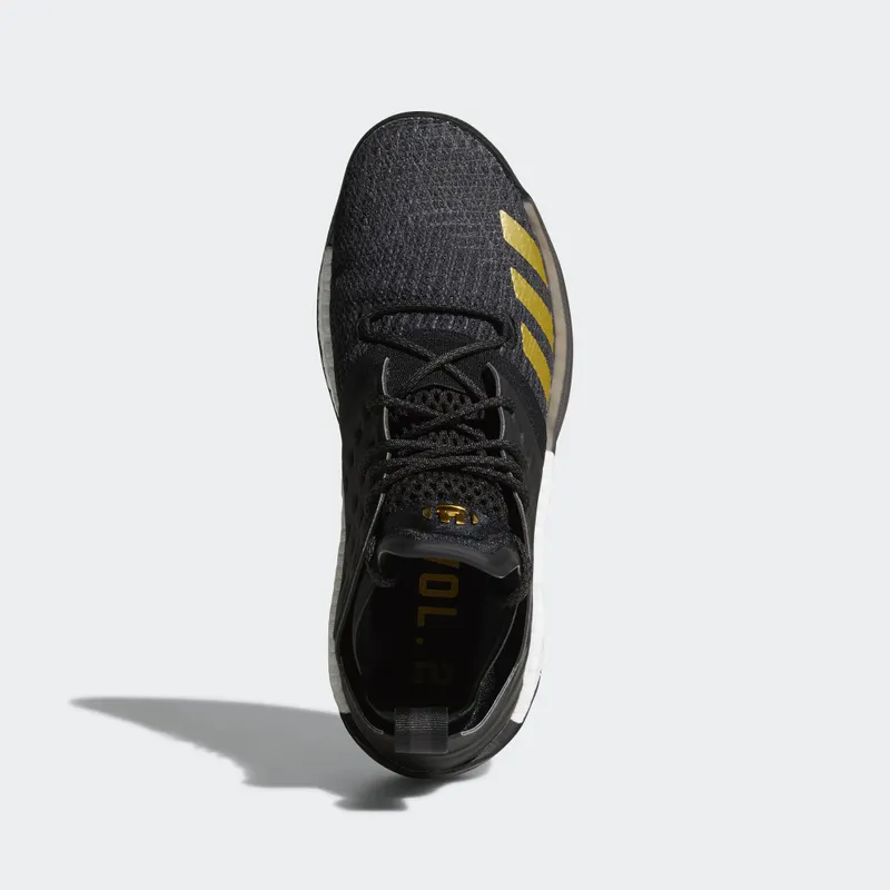 adidas Harden Vol. 2 Imma Be A Star Core Black/Gold Metallic (AH2215)
