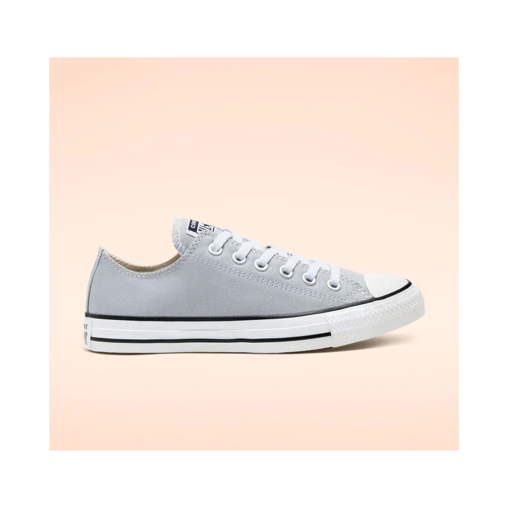 Converse Seasonal Color Chuck Taylor All Star Low Top Grey Grey (166710C)
