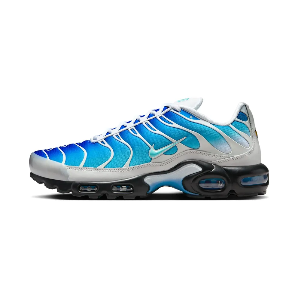 Nike Air Max Plus One Block Down Light Photo Blue (FZ3308-400)