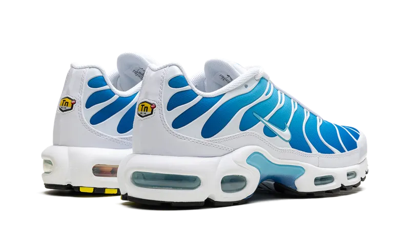 Nike Air Max Plus “Blue Gaze” (852630-411)