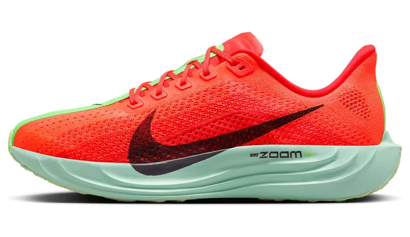 Nike Air Pegasus FQ7262-600