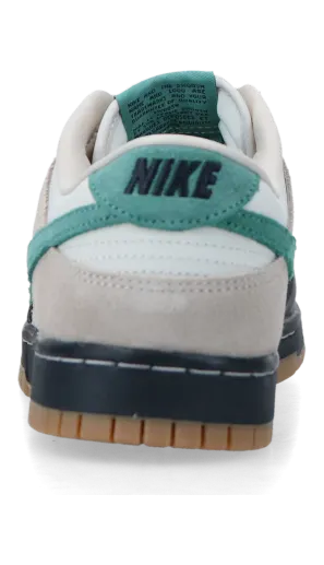 nike-dunk HQ3483-104