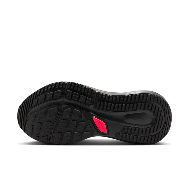 Nike Winflo 12 Black (HV9272-005)