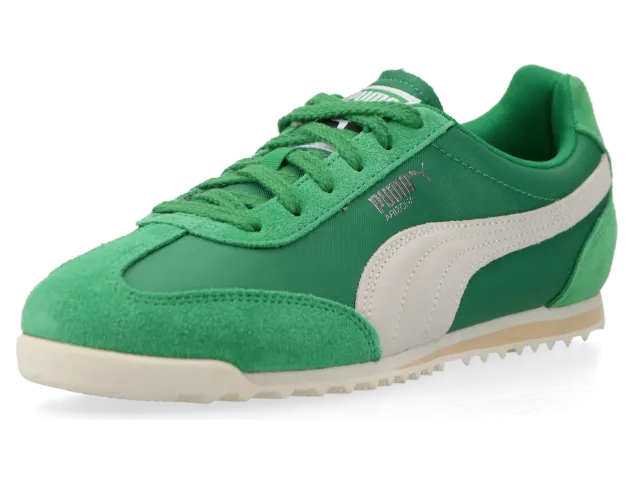 puma-arizona 398682_03