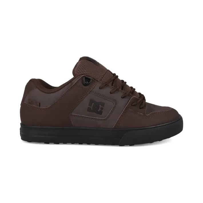 DC Pure Wnt “Brown” (ADYS300151210)