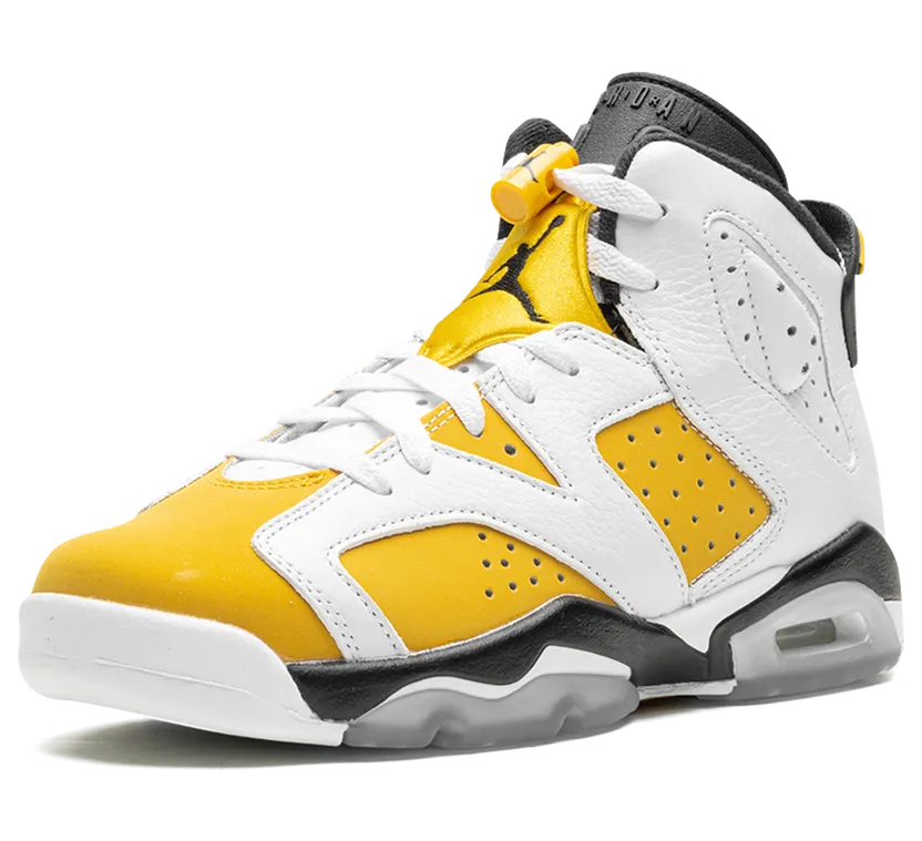 air-jordan-6 384665-170