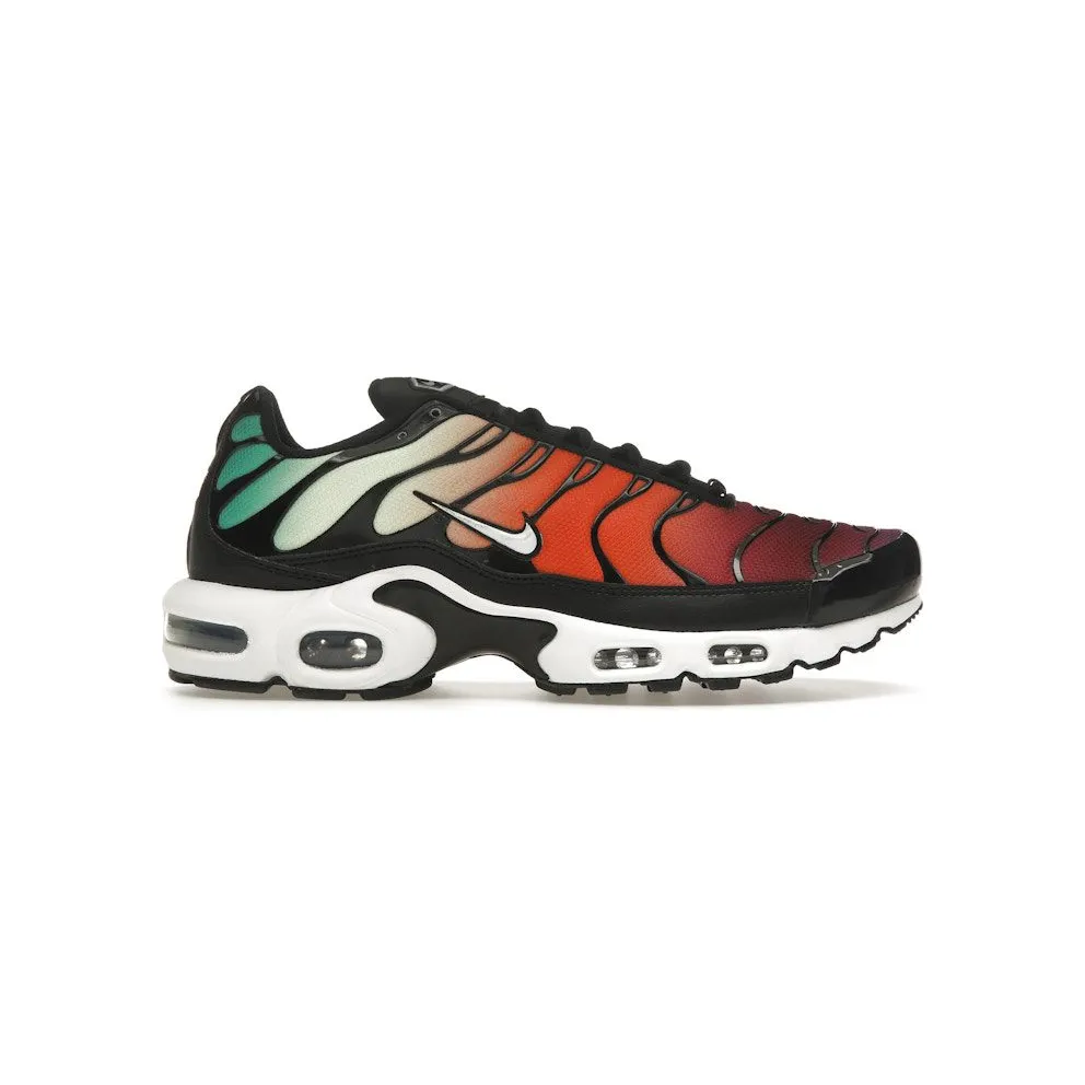 Nike Air Max Plus Rainbow (DZ3670-001)
